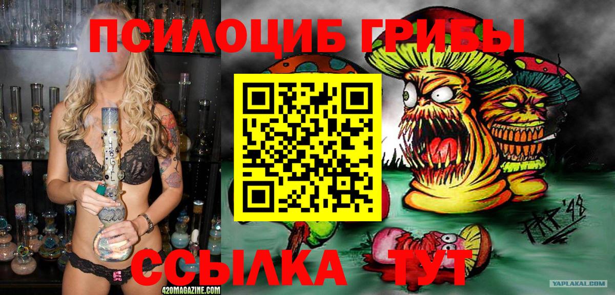 Новодвинск  Псилоцибиновые грибы Psilocybine cubensis  Псилоцибиновые грибы Psilocybe  Вход с VPN 